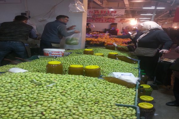 Akhisar’dan getirilen yeşil zeytin ilgi görüyor