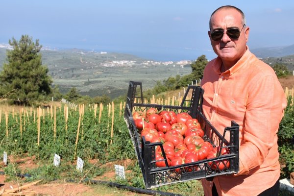 Ata tohumları toprakla buluştu