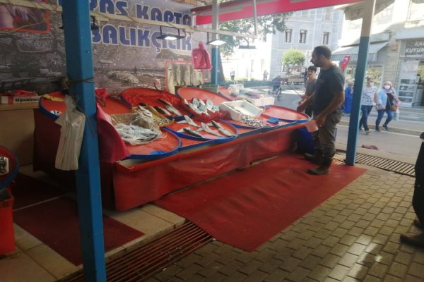 BALIK TEZGAHLARI DOLMADI