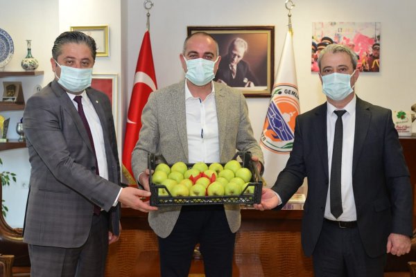 Bayramiç’in elmasının da, Gemlik’in zeytinin de derdi aynı