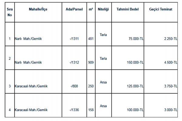 Belediye 4 mülkünü daha satıyor