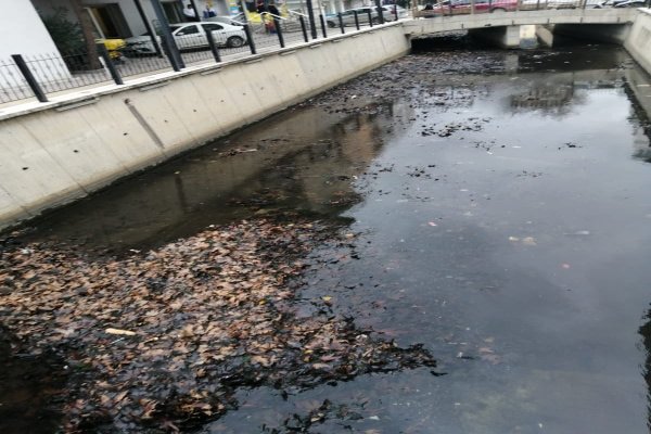 Çarşı Deresi ilgi bekliyor