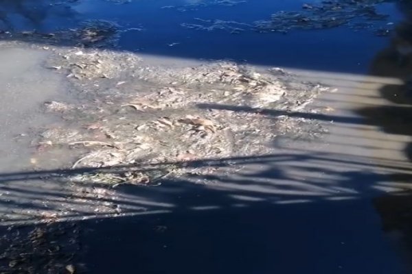 ÇARŞI DERESİNİN DURUMU İÇLER ACISI