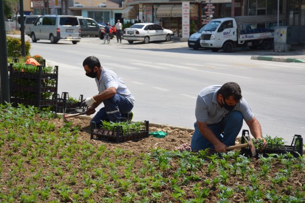 Çevreyolu kavşağı yeniden çiçeklendirildi