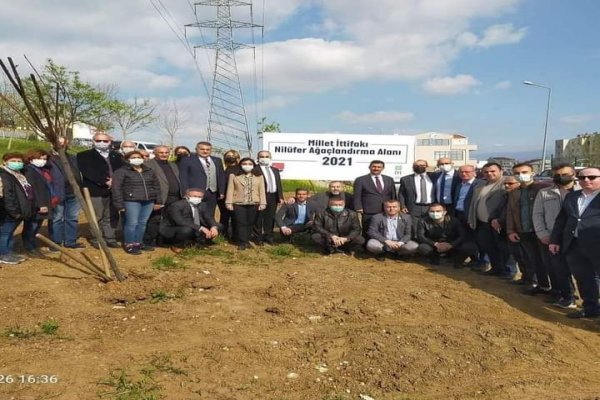CHP VE İYİ PARTİLİLER BİRLİKTE AGAÇ DİKTİLER