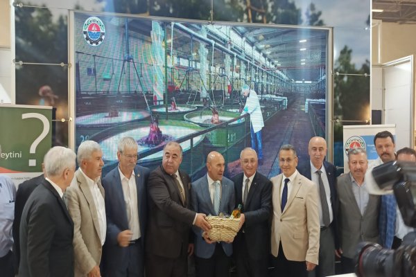 Coğrafi İşaretli Gemlik Zeytini 