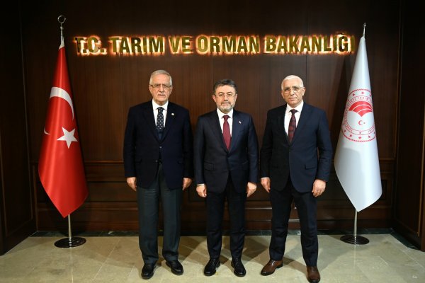 “Dane zeytine prim desteği kaldırılmamalı”