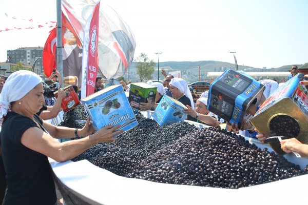 Dev zeytin tabağı rekorlar kitabına girdi