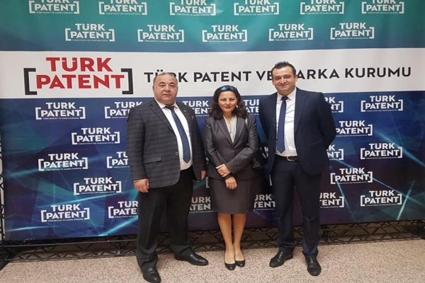 FAO Gemlik zeytini coğrafi işaretini örnek seçti