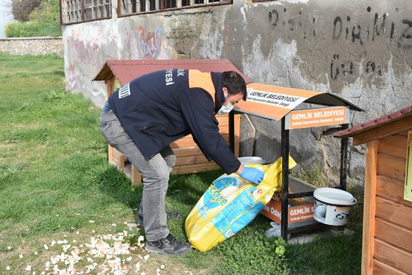 GEMLİK BELEDİYESİ CAN DOSTLARIMIZI UNUTMADI