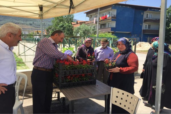 Gemlik Belediyesi’nden kabirler için yüzlerce çiçek