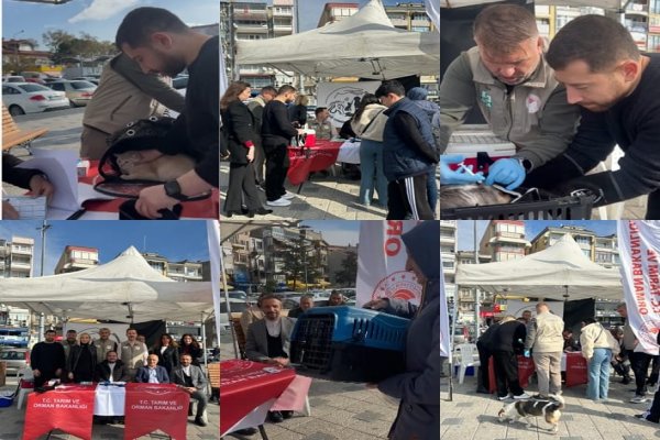 Gemlik İlçe Tarım Müdürlüğünden örnek proje