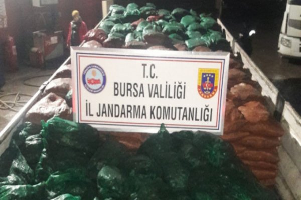 Gemlik’te 19 ton kaçak midye ele geçirildi