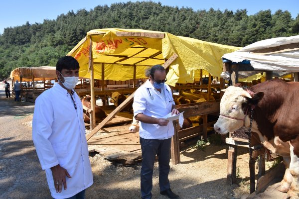 GEMLİK’TE KURBAN BAYRAMI HAZIRLIKLARI TAMAMLANDI
