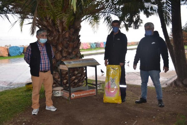 Gemlik’te sokaktaki canlar aç kalmıyor