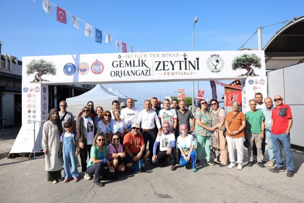 Gemlik'te Zeytin Ağacı 1500 Yıldır Meyve Veriyor