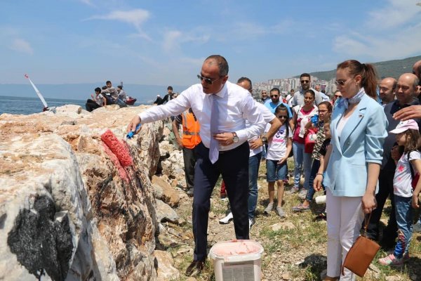 Gemlikli gençler sahildeki kayaları boyadı