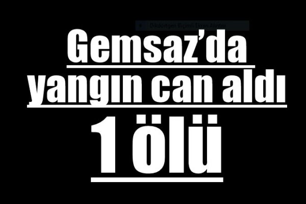 Gemsaz’da yangın can aldı