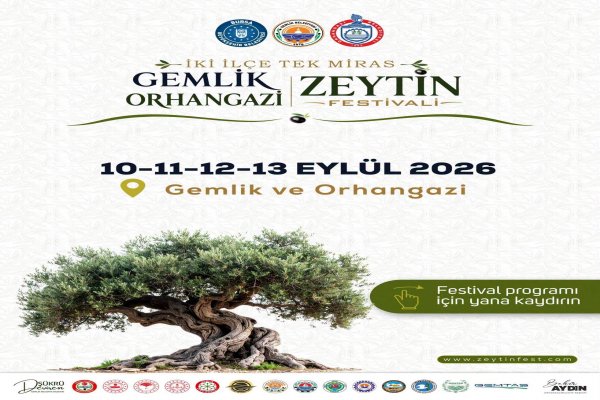 İki İlçe, Tek Miras: Gemlik-Orhangazi Zeytin Festivali Başlıyor