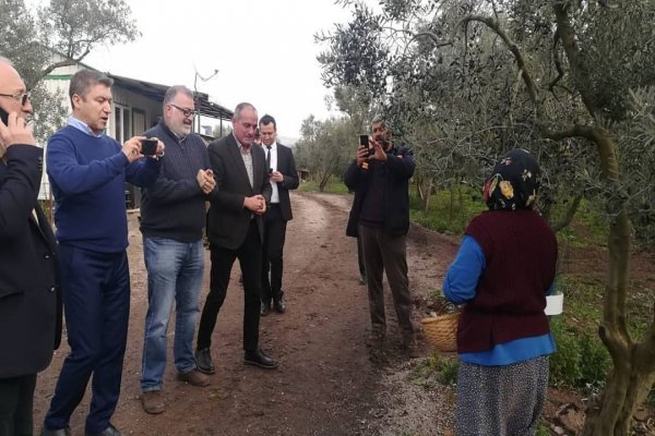 İsmail Küçükkaya’ya Gemlik zeytini tanıtıldı