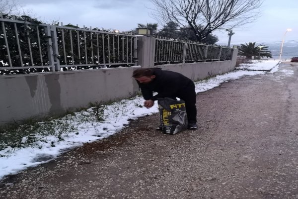 İYİ Partili gençler mama dağıtımı yaptı