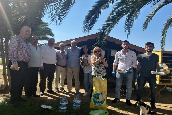 İYİ Partililer kapları mama doldurdu