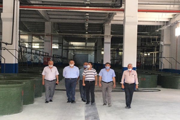 Kaymakam Göç, Gemlik Zeytin Kooperatifi’ni ziyaret etti.