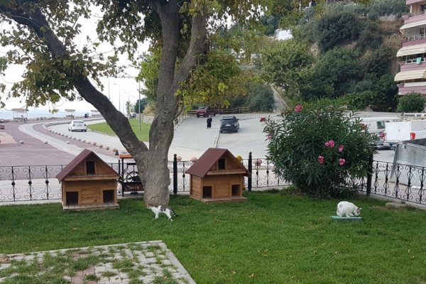 Kordonlara kedi evi ve köpek kulübeleri yerleştirildi