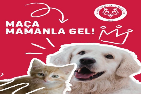 MAÇA MAMANLA GEL!*