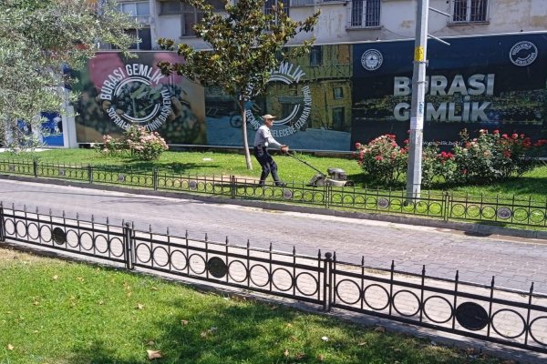 Park ve yeşil alanlarda budama çalışmaları sürüyor
