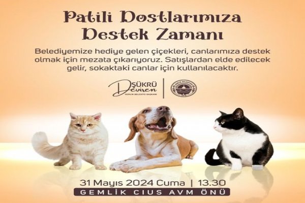 Patili canlarımıza destek zamanı!