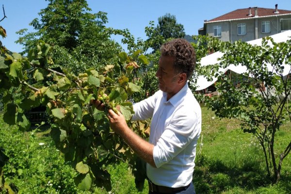 Sarıbal: Bu politikalar aç bırakır