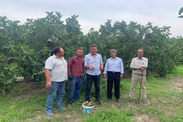 Sarıbal: Çiftçiye sahip çıkın