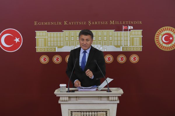 Sarıbal: Zeytin Üreticilerinin Çığlığına Kulak Verin