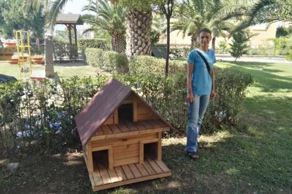 Sokak hayvanları bu kış üşümeyecek