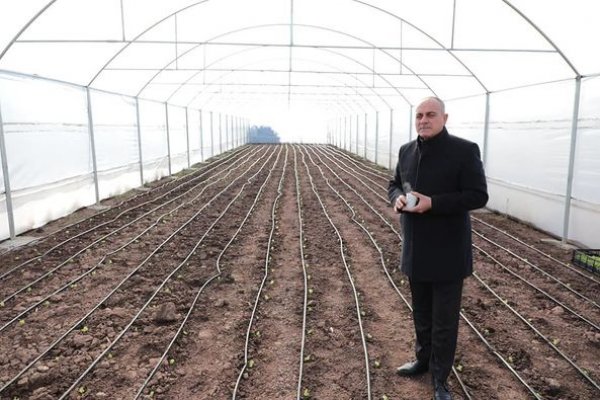 Ucuz sebzeler Gemlik Belediyesi’nden