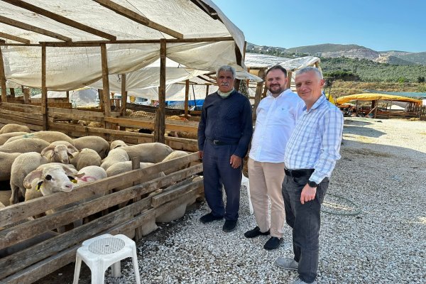 Yıldız; Kurban Satıcılarına Kulak Verin.!
