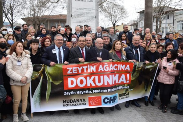 “ZEYTİN AĞACIMA DOKUNMA!”