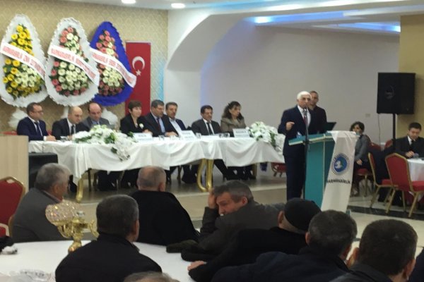 Zeytinin Başkenti Gemlik’tir!